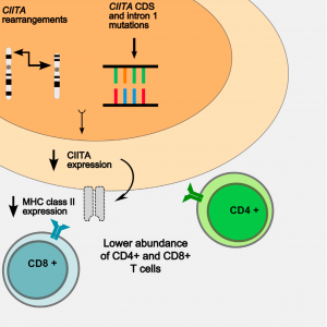 Genomic Alterations in CIITA Are Frequent in Primary Mediastinal Large B Cell Lymphoma and Are Associated with Diminished MHC Class II Expression