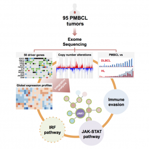 Integrative genomic analysis identifies key pathogenic mechanisms in primary mediastinal large B-cell lymphoma